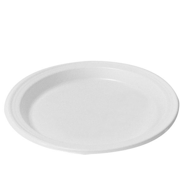 6" PLASTIC PLATE (11042)