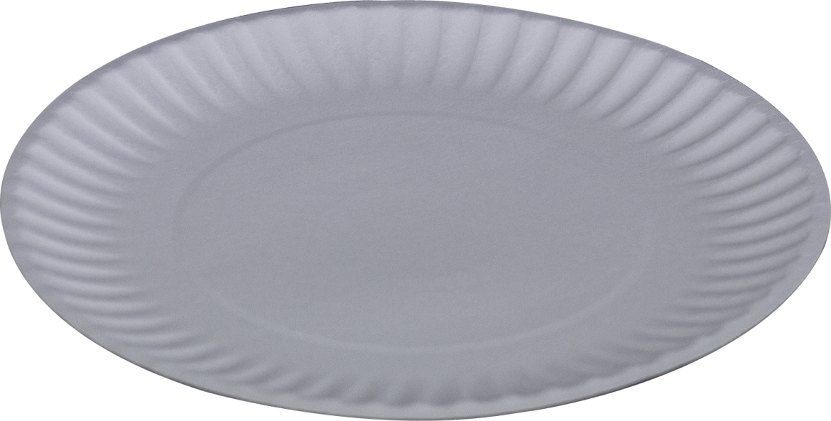 6-uncoated-paper-plate-bionature-plastifar