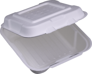 9X9 1C-COMPOSTABLE HINGED LID CONTAINER