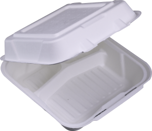 9X9 3C-COMPOSTABLE HINGED LID CONTAINER