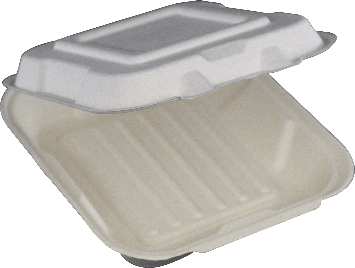 Double-Foam Food Containers by Plastifar PST12039