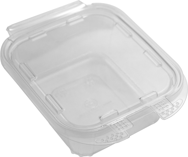 12oz ILOCK PET RECT HINGED LID CONTAINER